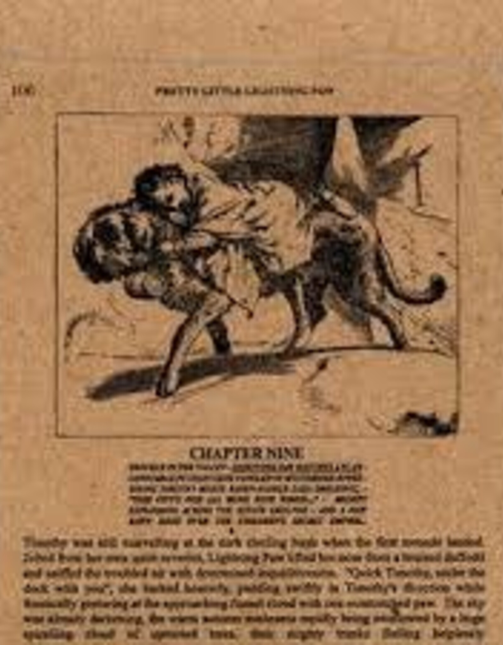 Silver Mountain Reveries - The Pretty Little Lightening Paw EP