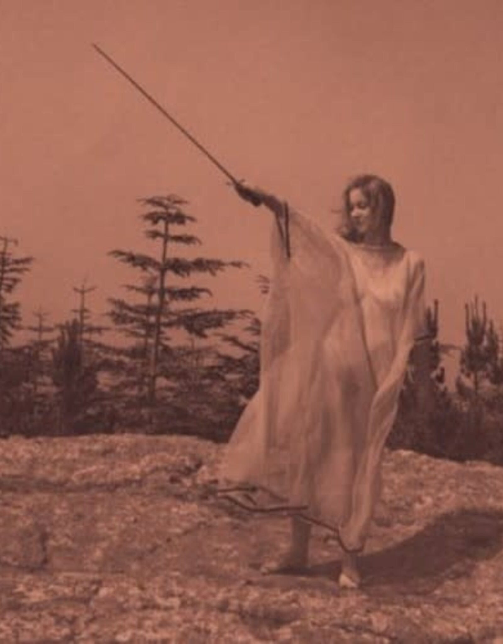 Unknown Mortal Orchestra - II