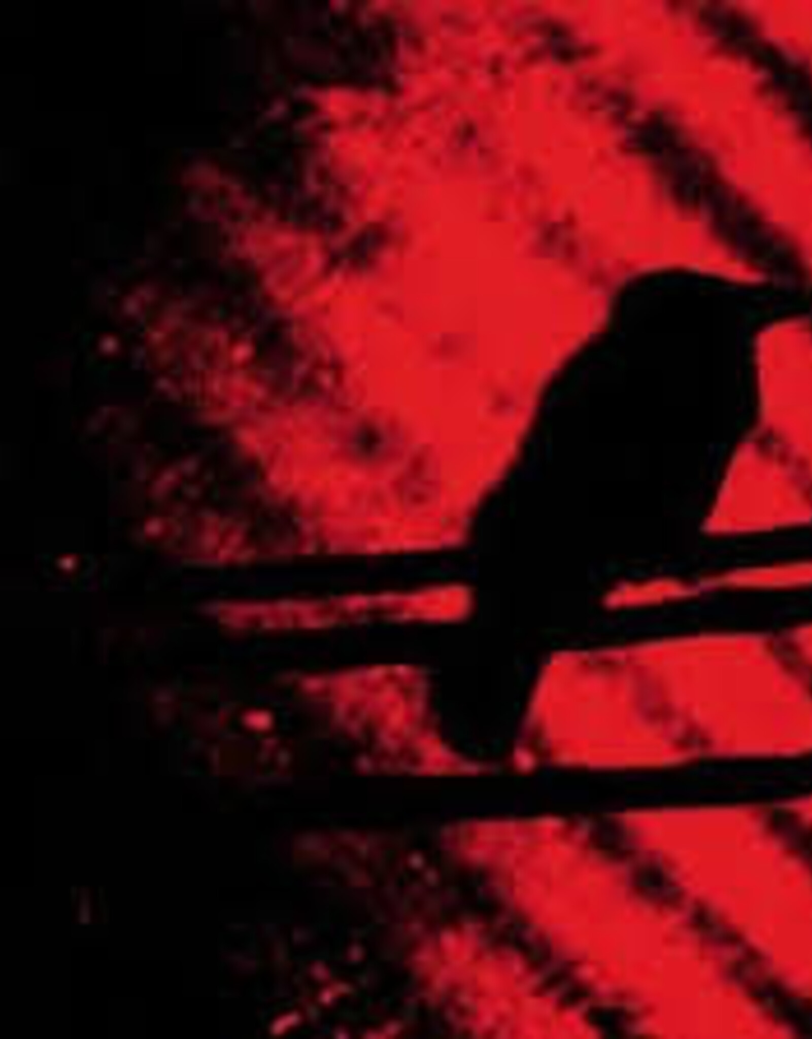 Silver Mt. Zion - Born Intro Trouble As the Sparks Fly Upward