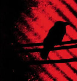 Silver Mt. Zion - Born Intro Trouble As the Sparks Fly Upward