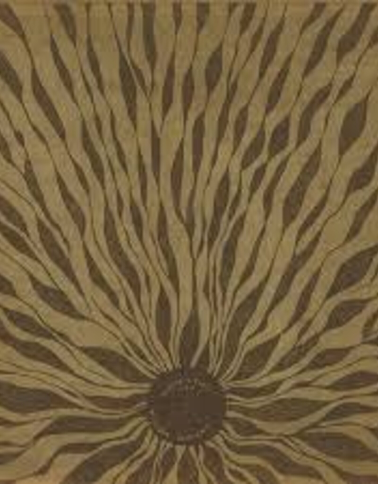 William Nyland - Piano Studies 337