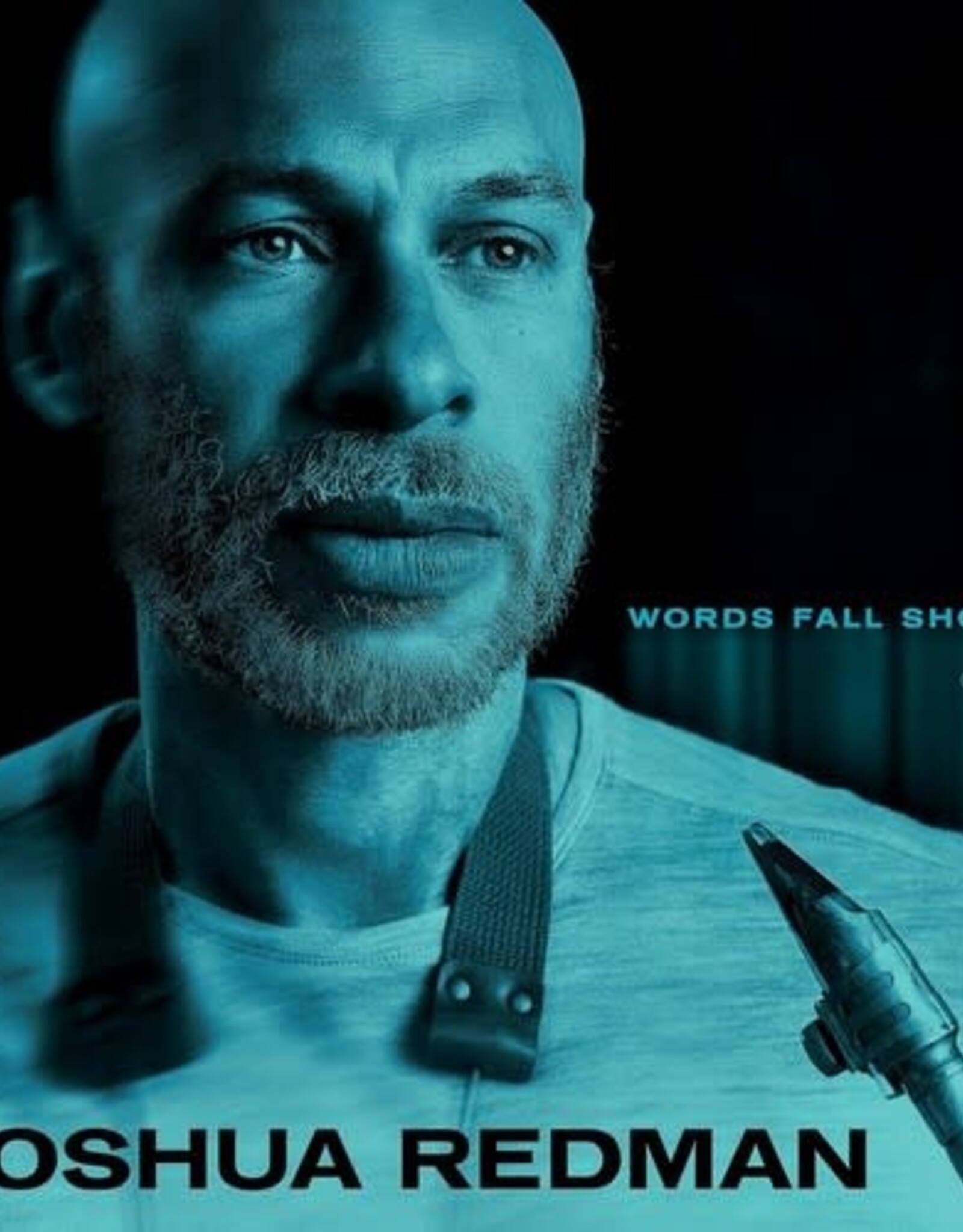 Joshua Redman - Words Fall Short