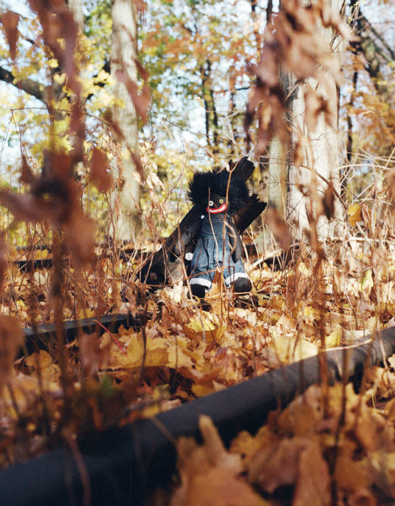 billy woods - GOLLIWOG