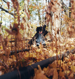 billy woods - GOLLIWOG