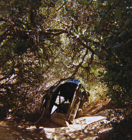 Ty Segall - Possession