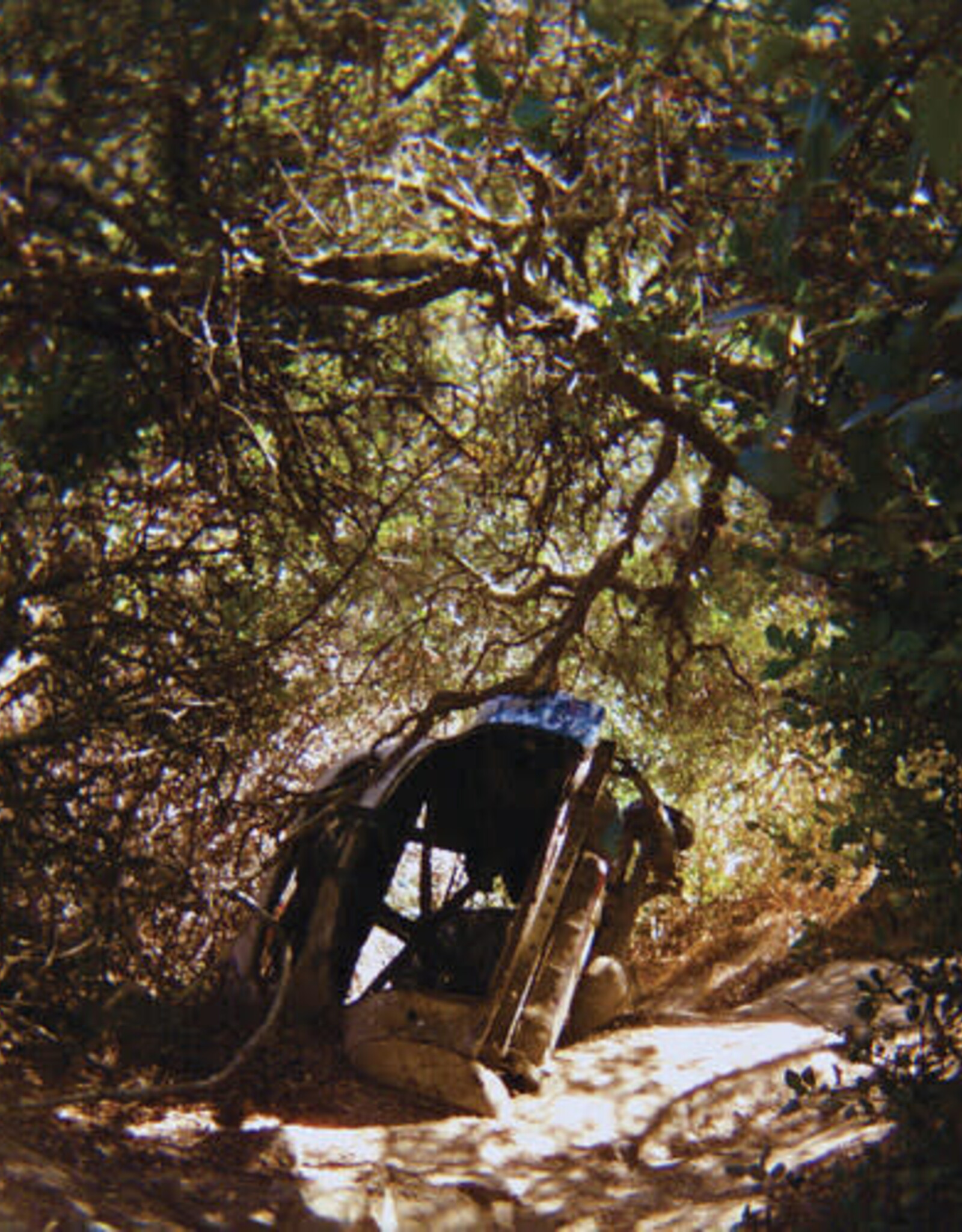 Ty Segall - Possession