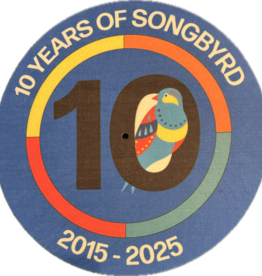 Byrdland Songbyrd 10 Slipmat