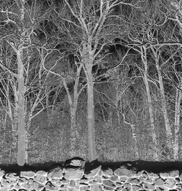 Pile  – Sunshine and Balance Beams