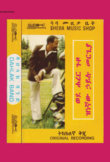 Hailu Mergia and Dahlak Band  - Wede Harer Guzo