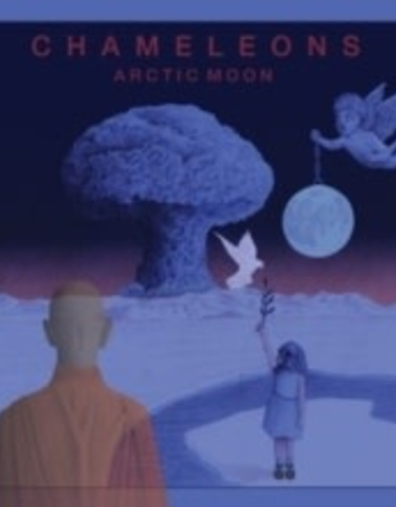 The Chameleons - Arctic Moon