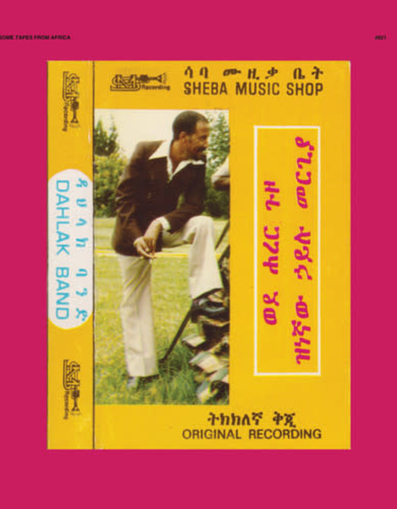 Hailu Mergia and Dahlak Band  - Wede Harer Guzo