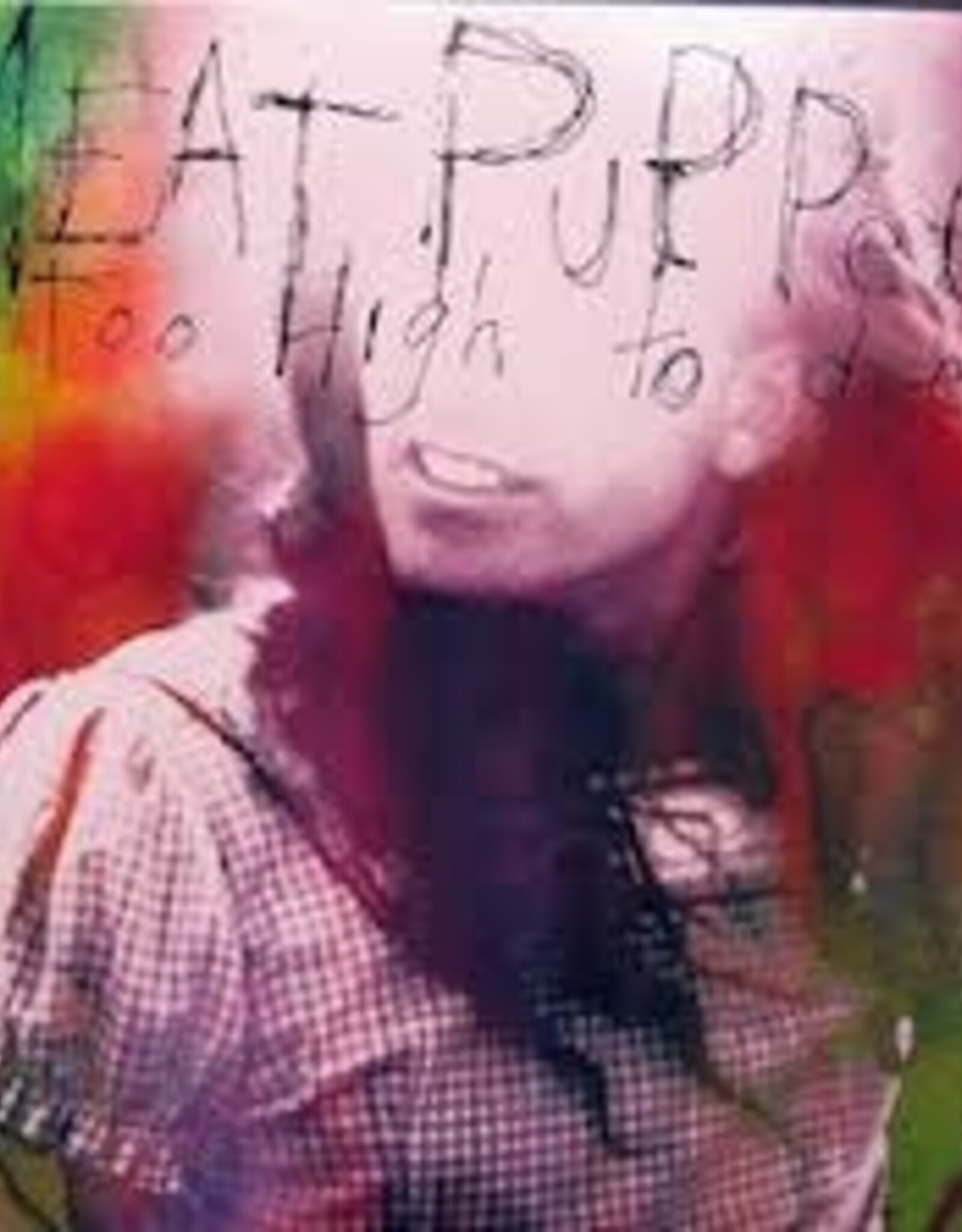 Meat Puppets - Too High to Die
