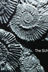 The SUNDAYS - reading, writing and arithmetic