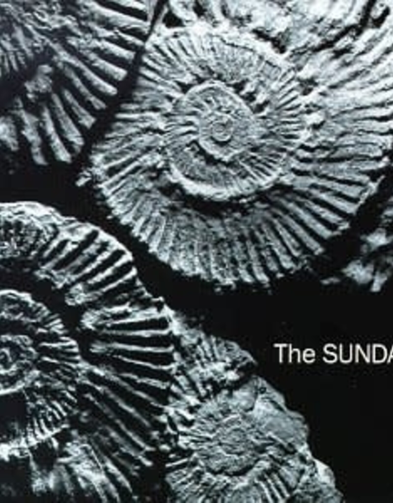 The SUNDAYS - reading, writing and arithmetic