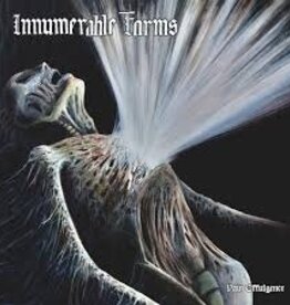 Innumerable Forms - Pain Effulgence