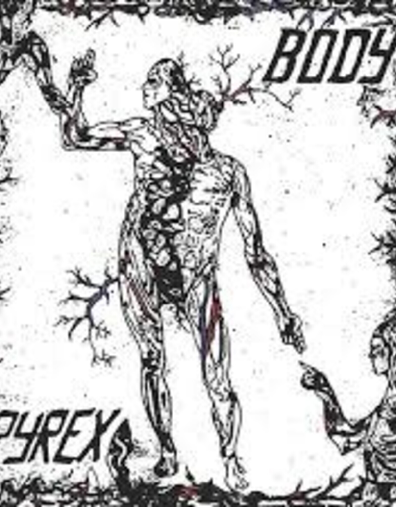 Pyrex - Body