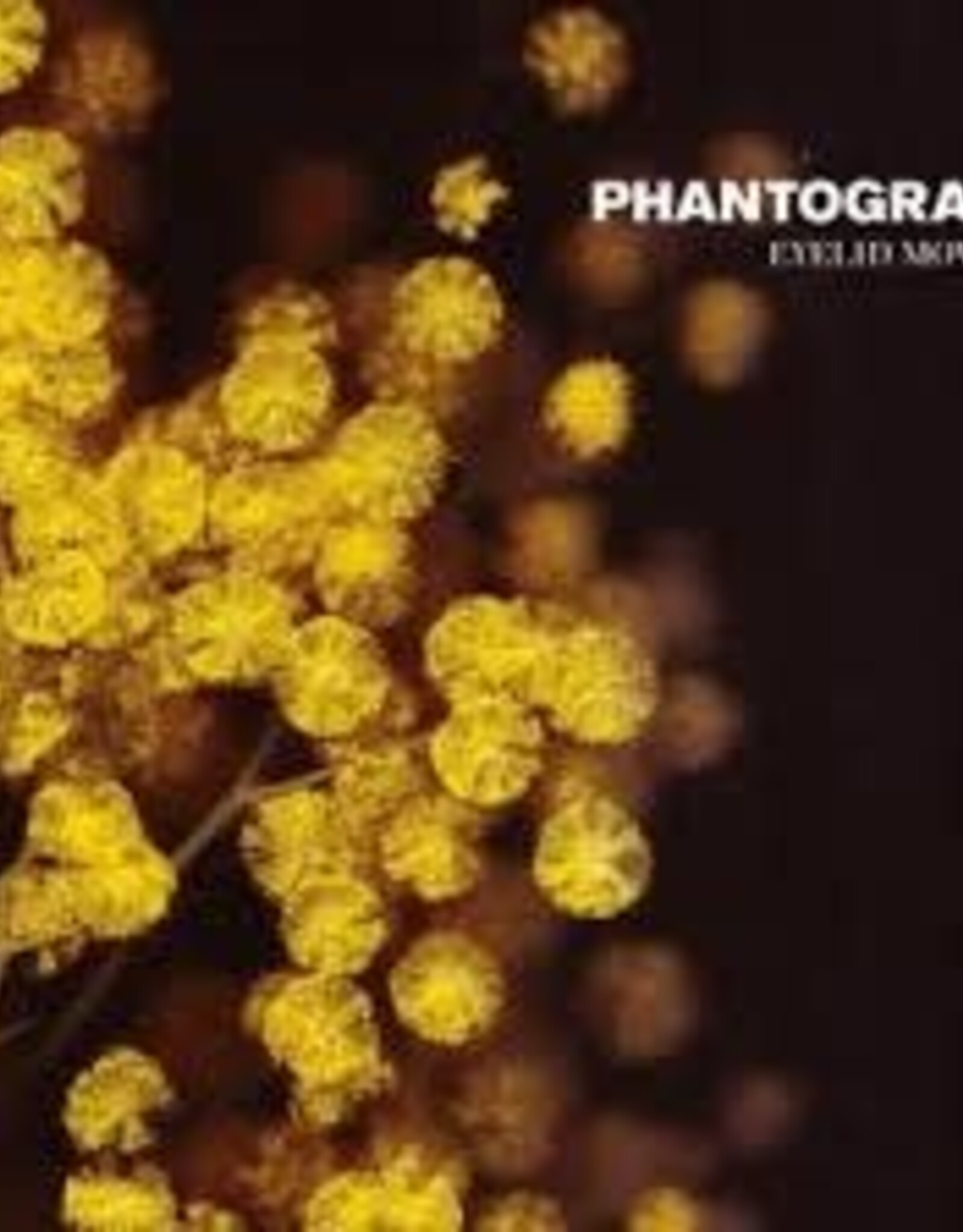 Phantogram - Eyelid Movies (Clear w/ yellow)