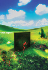 Rainbow Kitten Surprise - bones