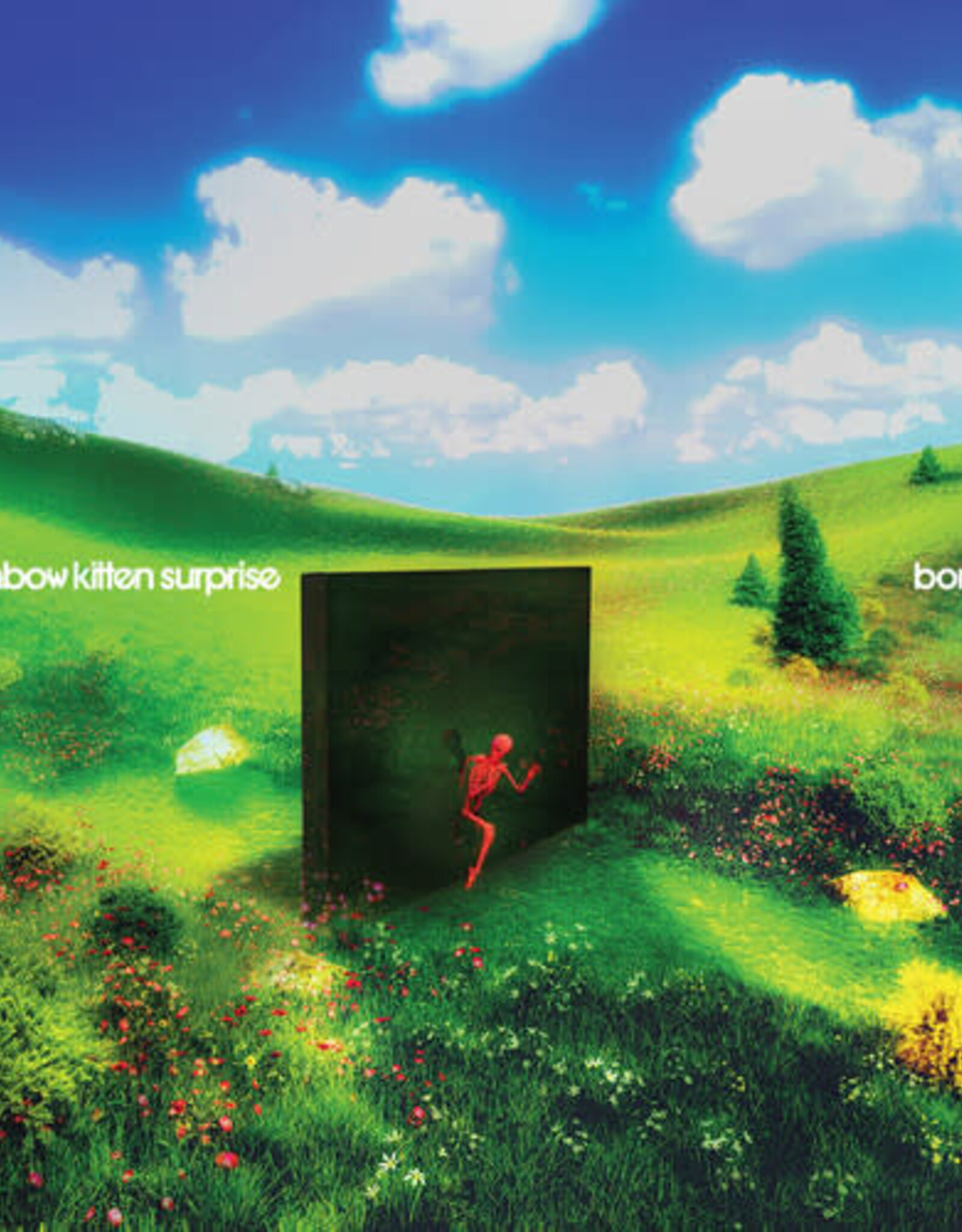 Rainbow Kitten Surprise - bones