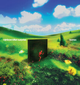 Rainbow Kitten Surprise - bones