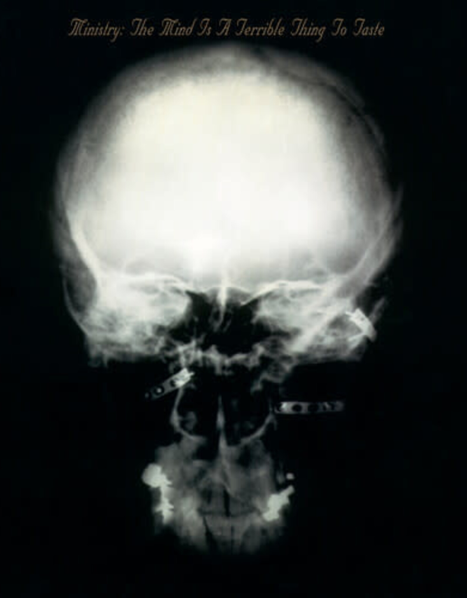 Ministry - The Mind is a Terrible Thing to Taste (RKTBR25)