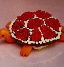 Sharp Pins - Turtle Rock