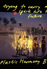 The Plastic Harmony Band -  I'm Trying To Carry A Spark Into The Future