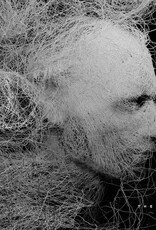 The Missing Peace  - The Void