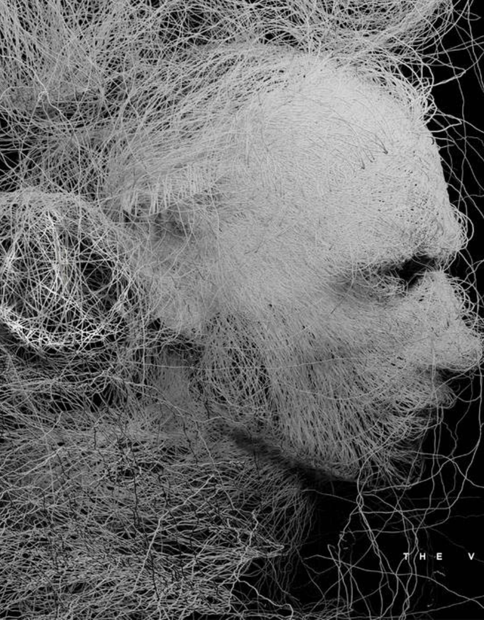 The Missing Peace  - The Void