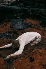 Hannah Frances - Keeper of the Shepherd (BIRCH WHITE VINYL)