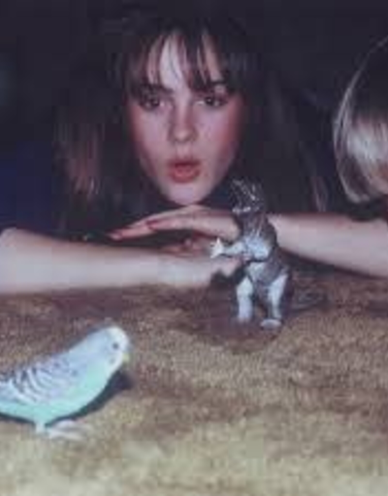 Big Thief- Masterpiece (2023 Remaster)