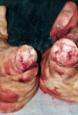 Armand Hammer & The Alchemist- Haram