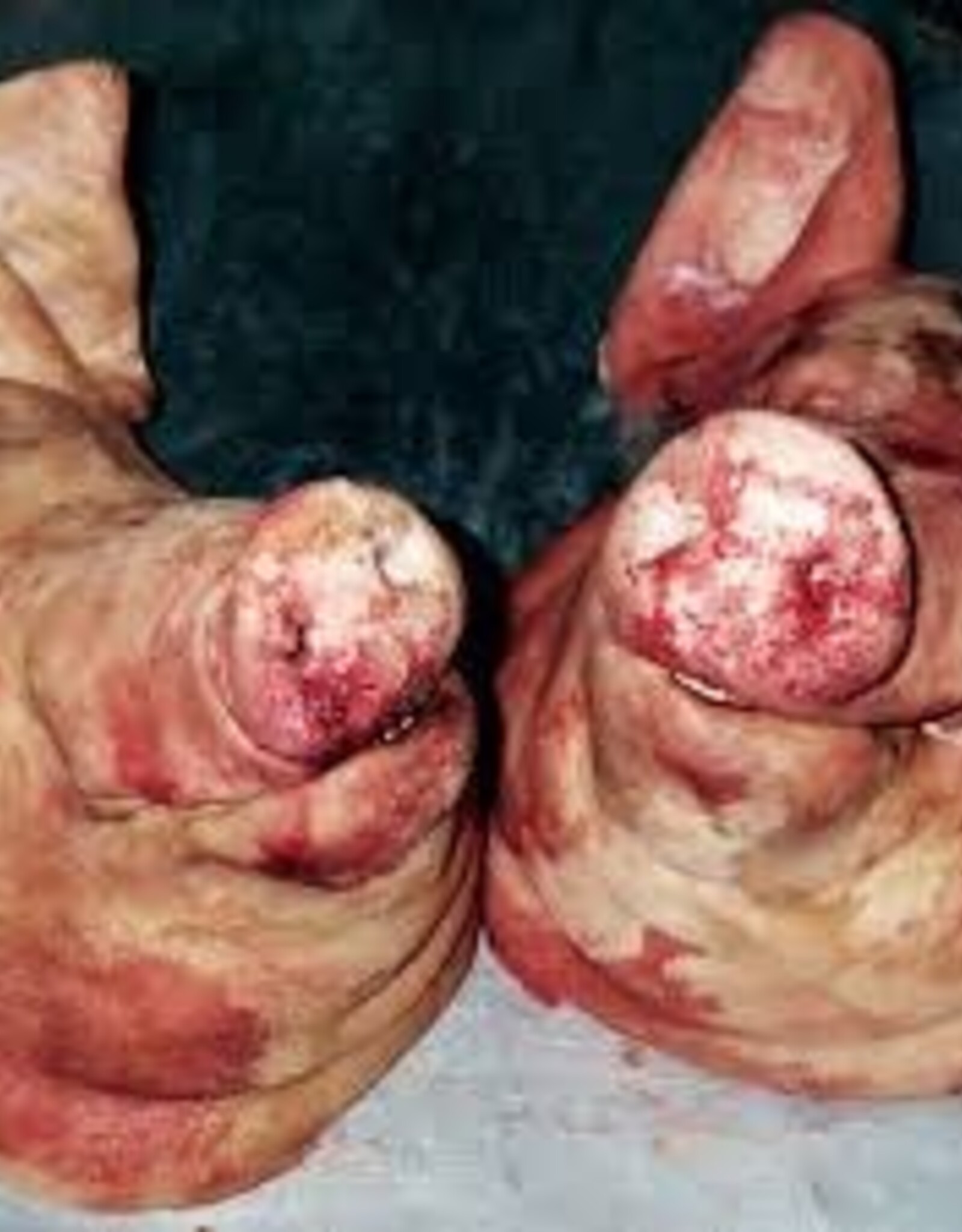 Armand Hammer & The Alchemist- Haram