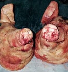 Armand Hammer & The Alchemist- Haram