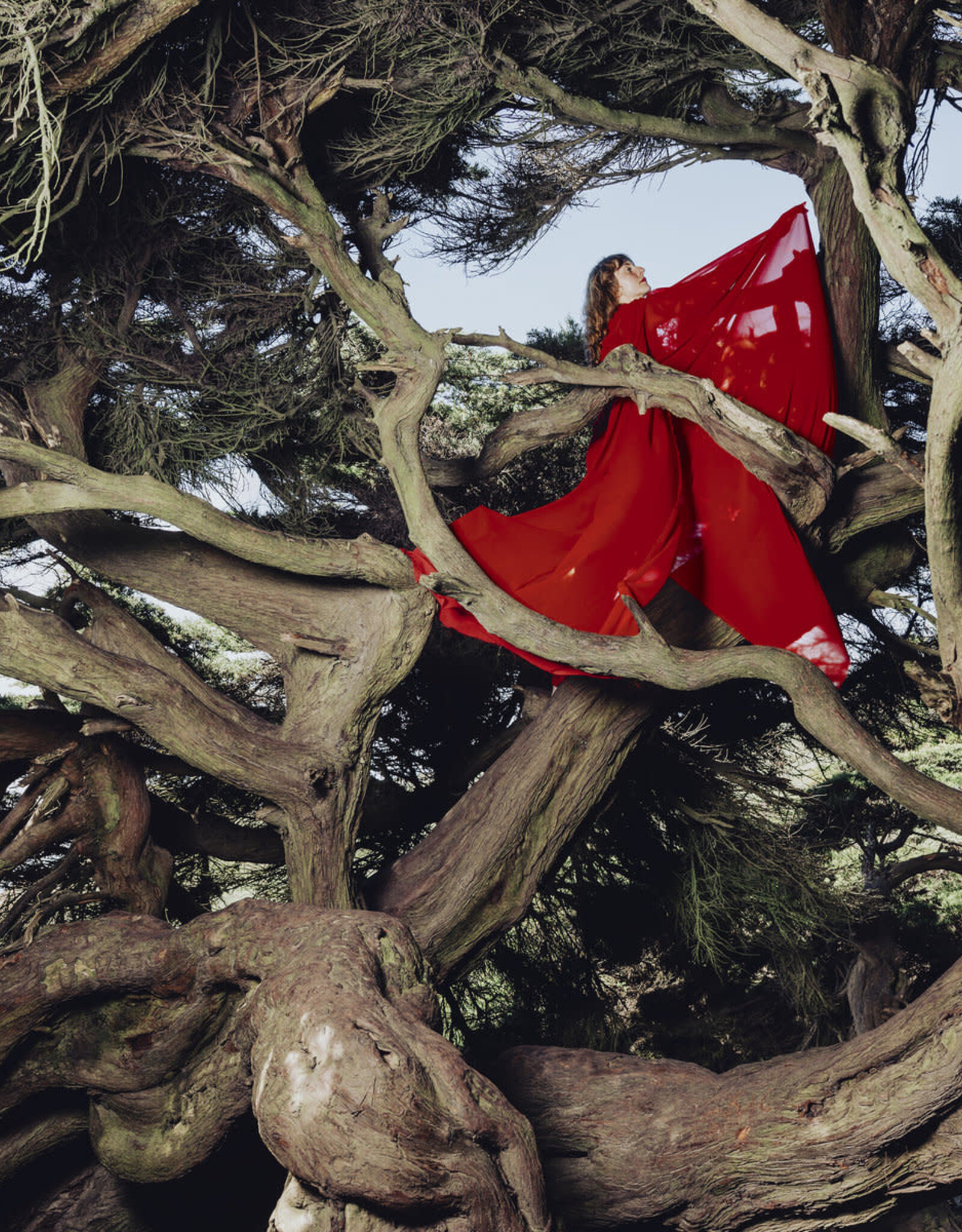 Hannah Frances - Nested in Tangles (ruby red)