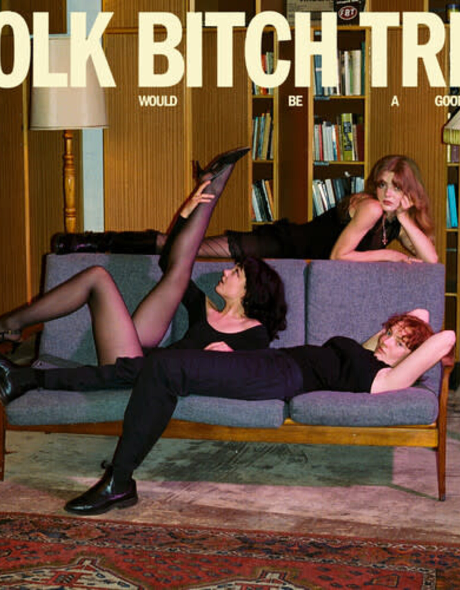 Folk Bitch Trio  - Now Would Be A Good Time