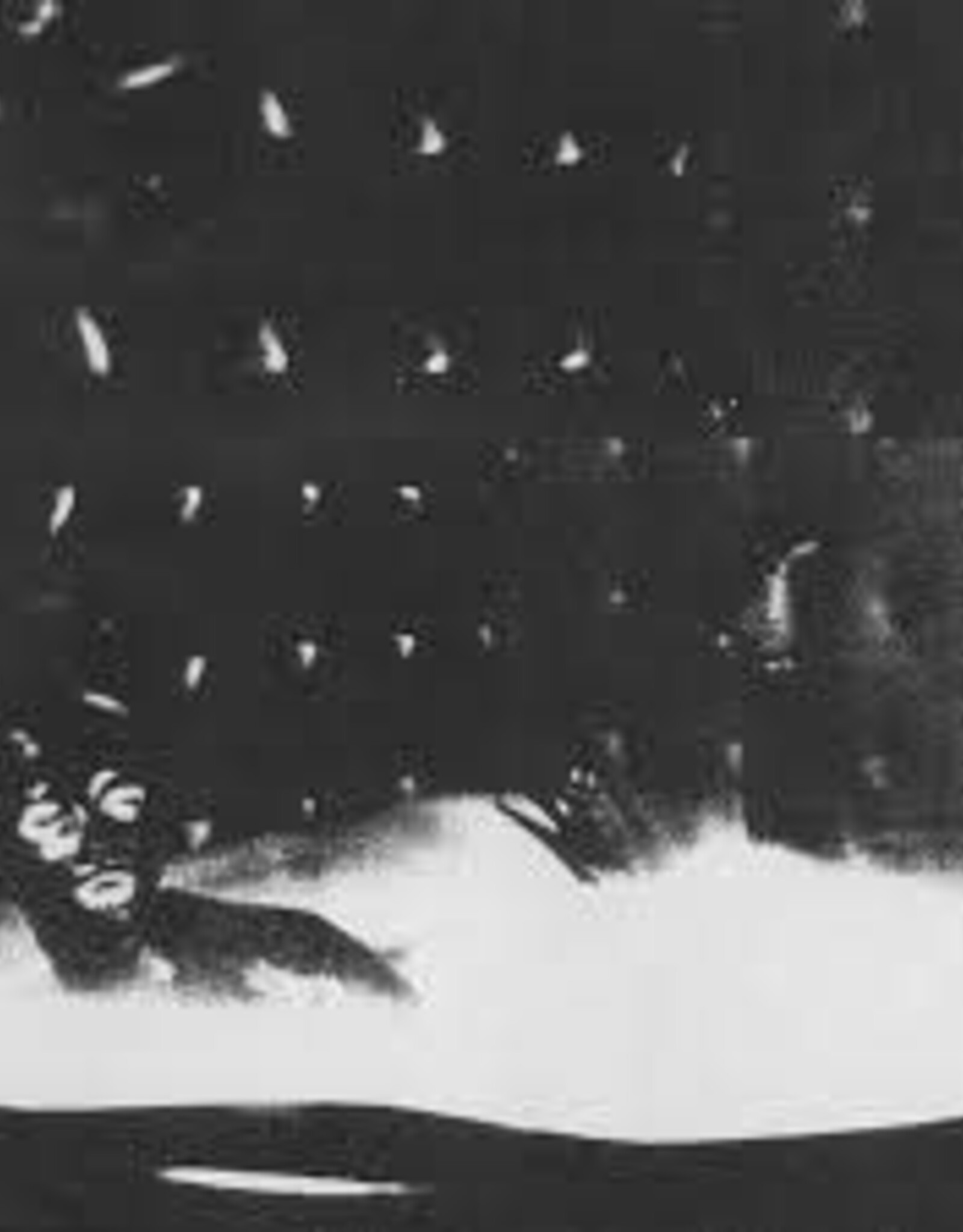 Cindy Lee- Malenkost