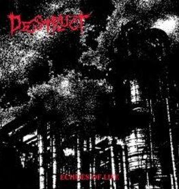 Destruct- Echoes of Life