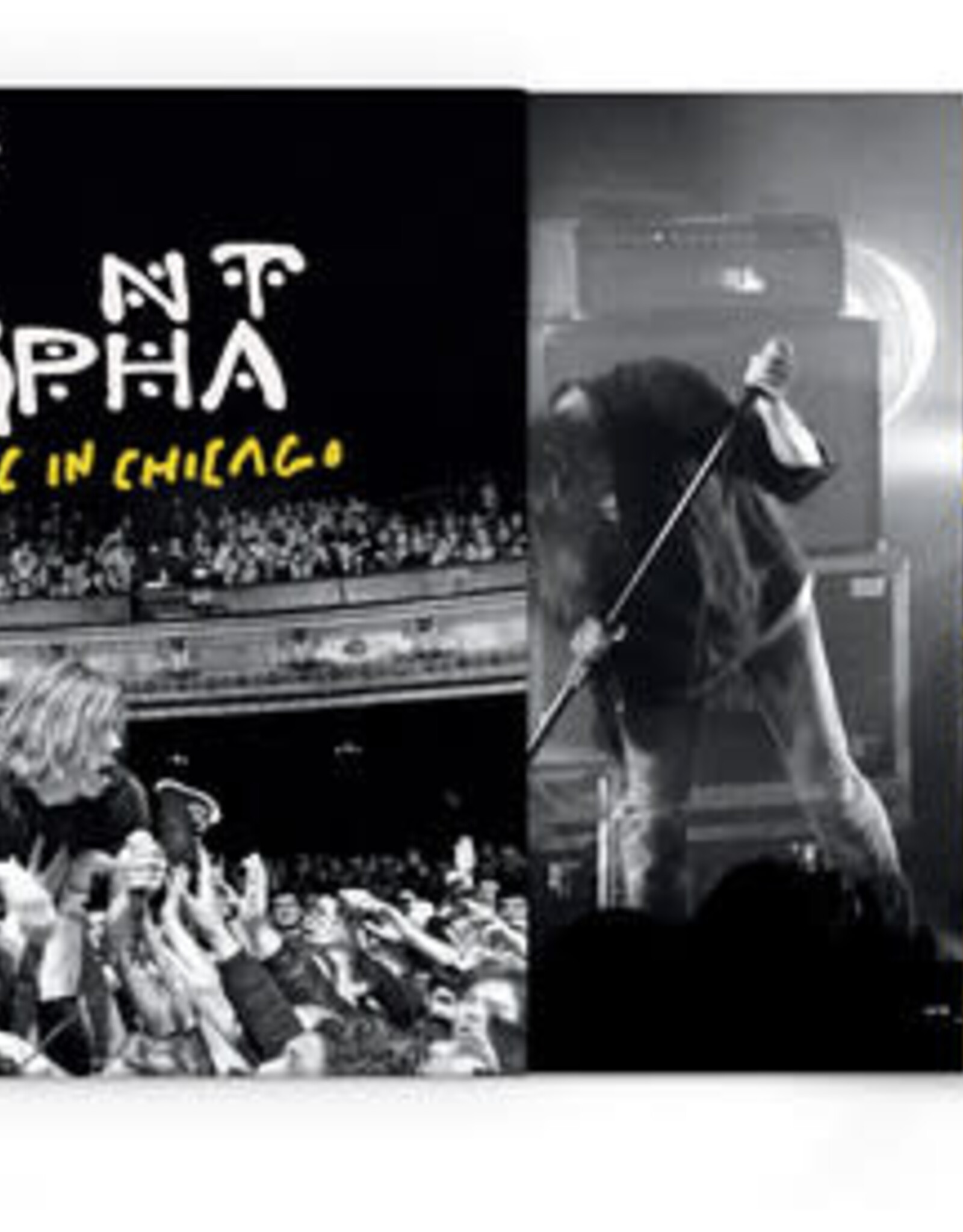 Cage The Elephant 	 - 	Live From The Vic In Chicago	(RSDBF 2025)