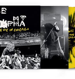 Cage The Elephant 	 - 	Live From The Vic In Chicago	(RSDBF 2025)