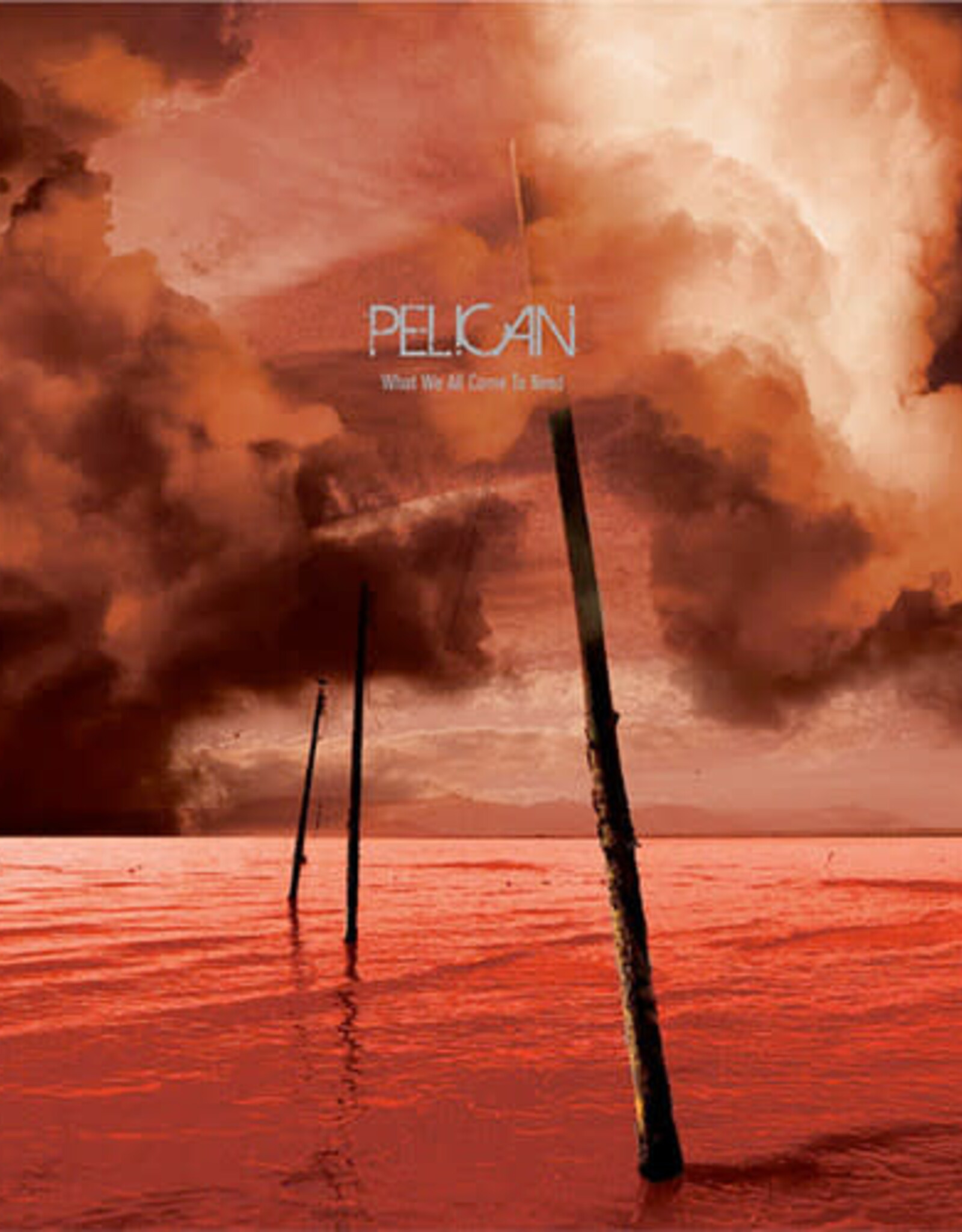 Pelican	 - 	What We All Come To Need & Ephemeral	(RSDBF 2025)