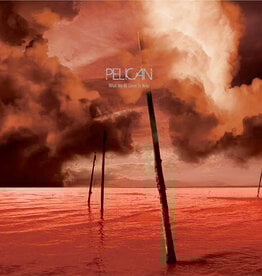Pelican	 - 	What We All Come To Need & Ephemeral	(RSDBF 2025)