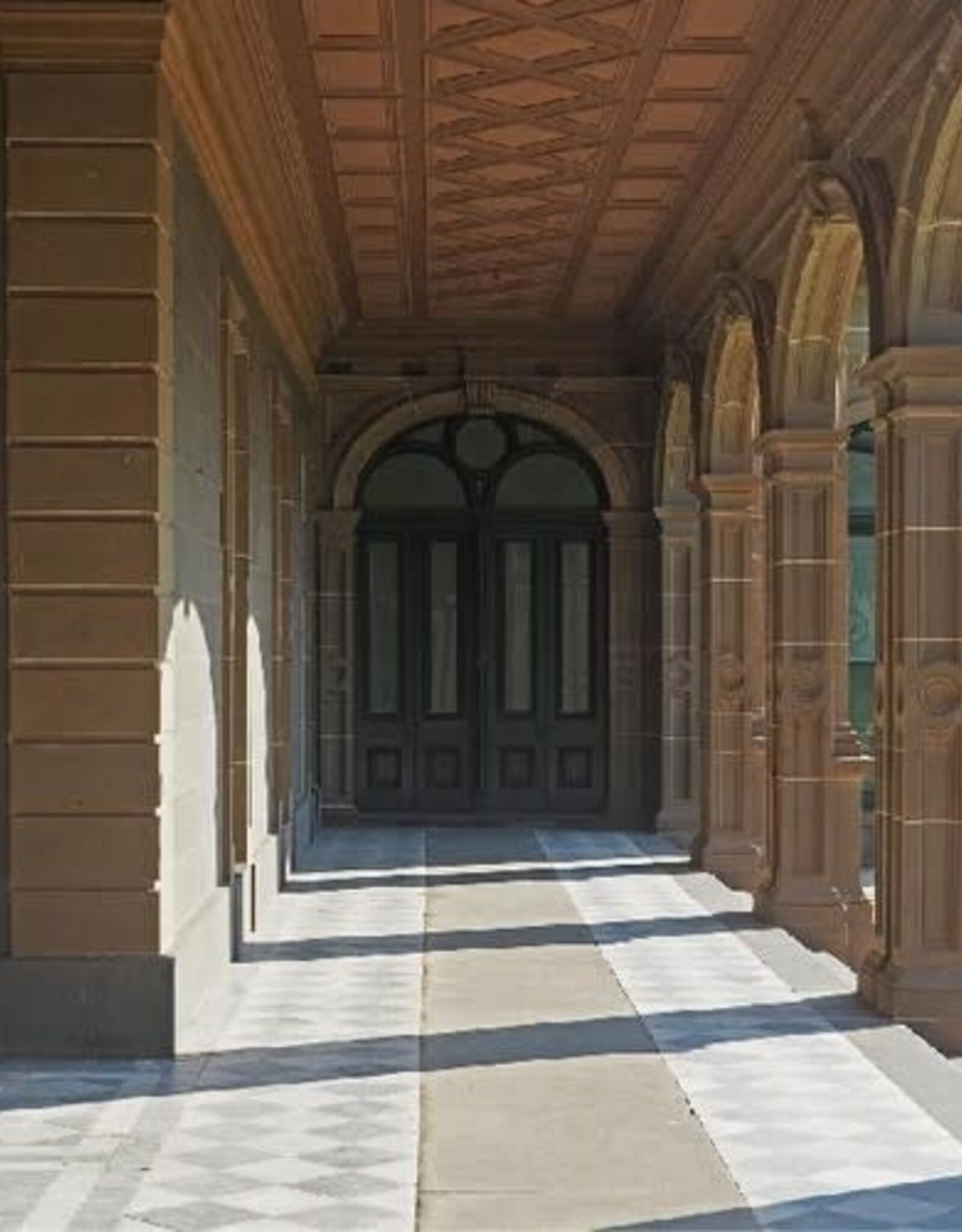 Ducks Ltd. = Modern Fiction (TAN VINYL)