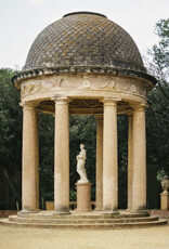 Ducks Ltd. - Harm's Way ("GASOLINE" TAN VINYL)