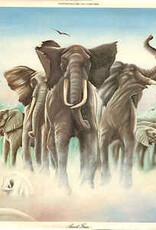 Elvis Costello - Armed Forces