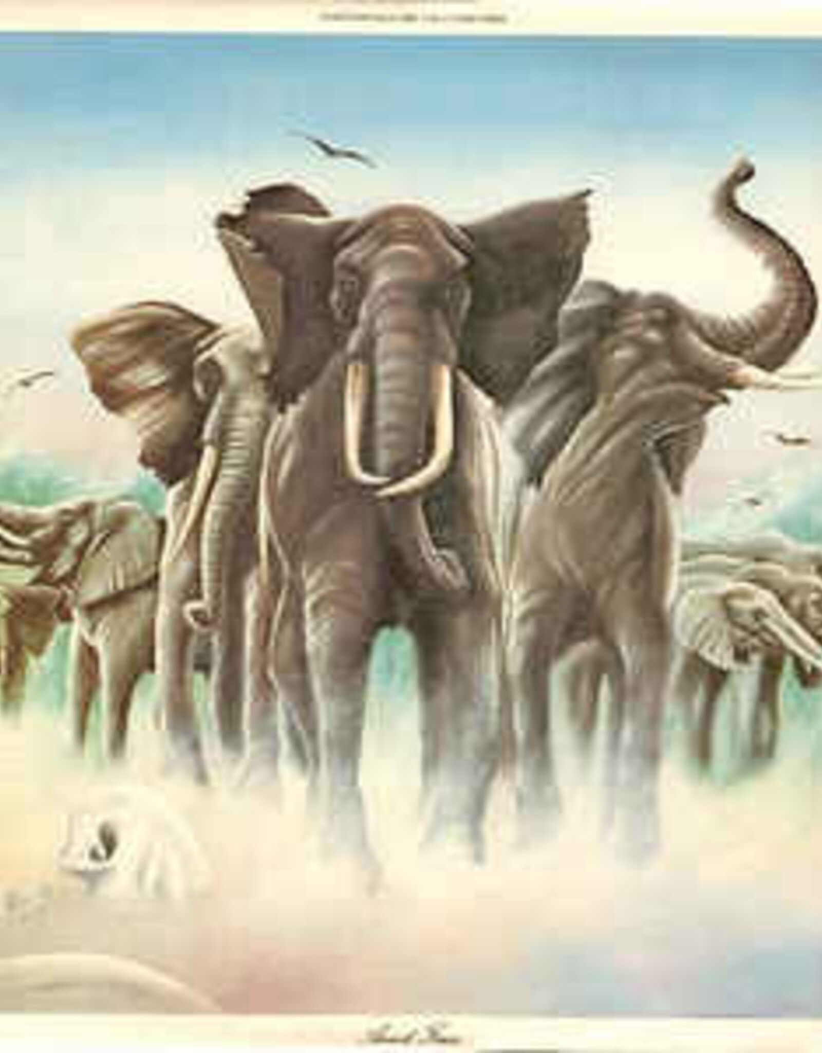 Elvis Costello - Armed Forces