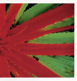 Jejune - This Afternoons Malady