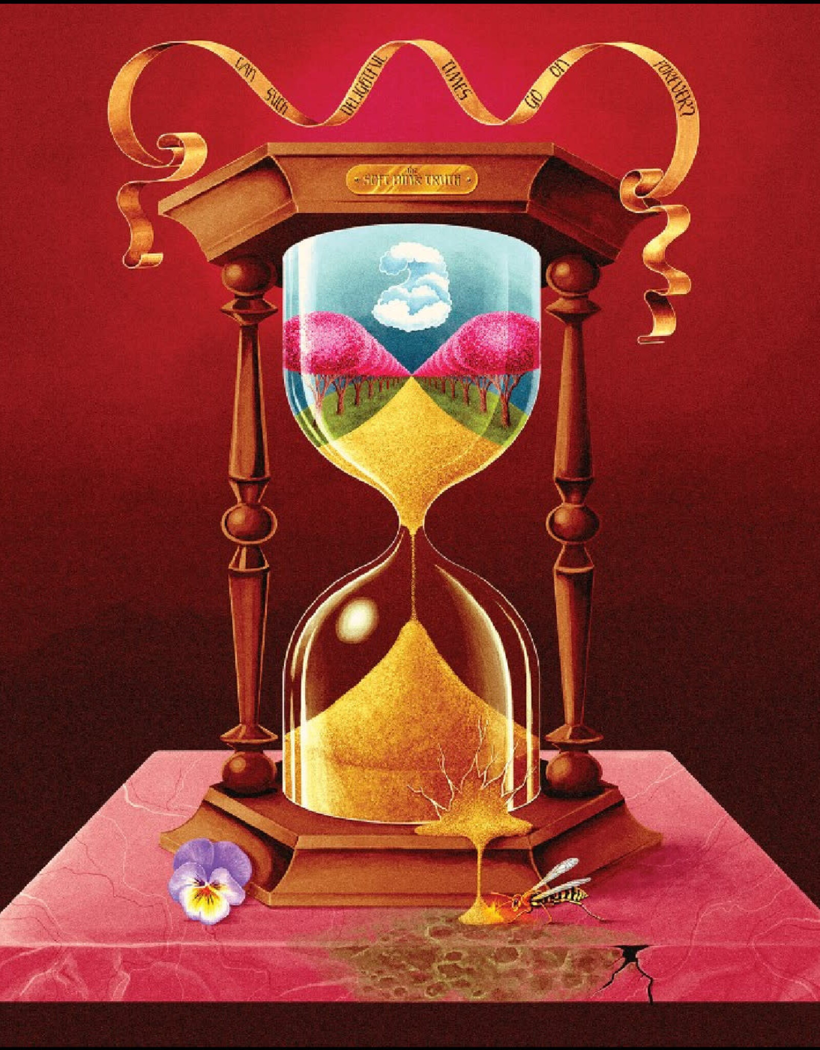 Soft Pink Truth - Can Such Delightful Times Go On Forever?