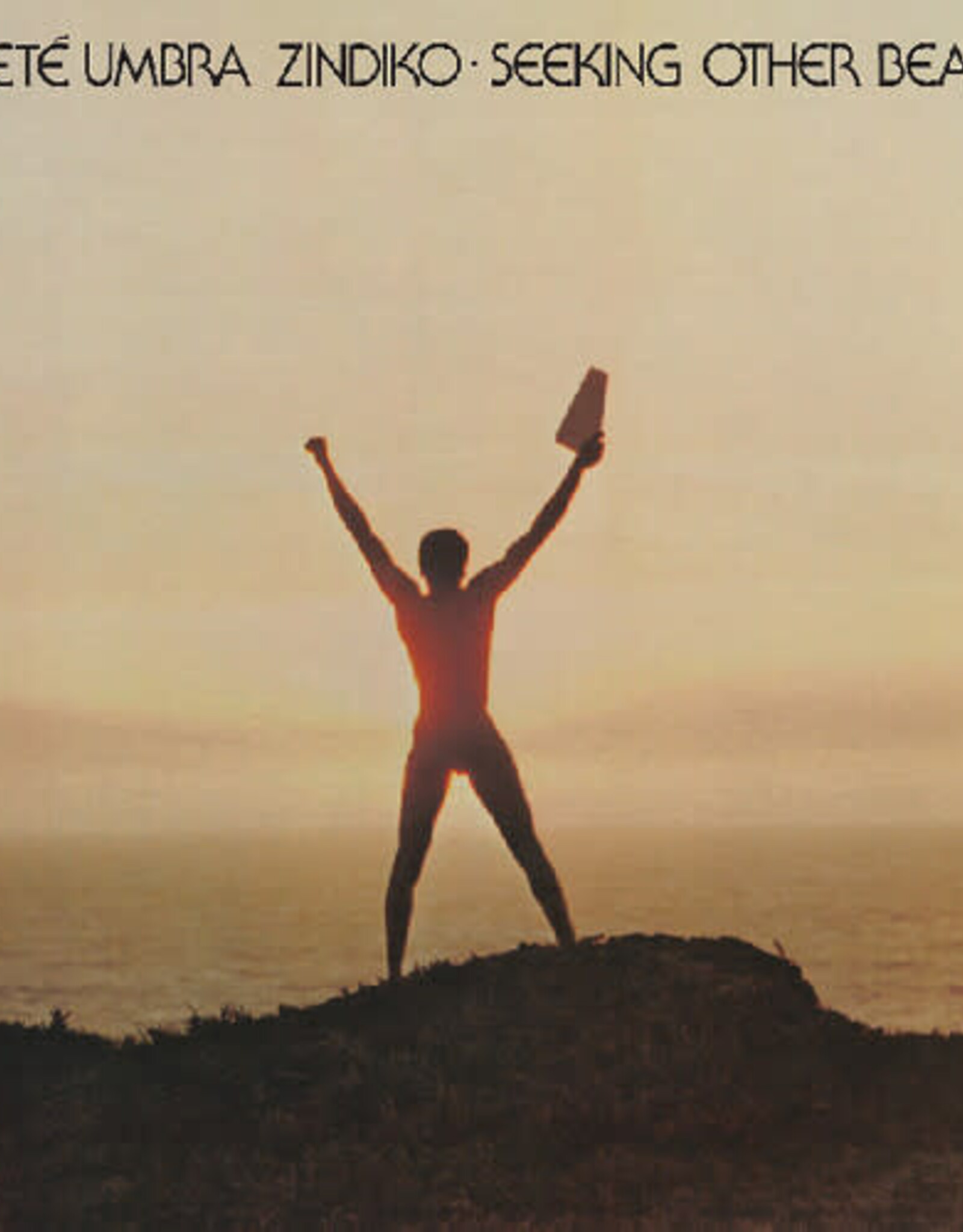 Bayeté Umbra Zindiko - Seeking Other Beauty (All-Analog) (Plasma Vinyl)