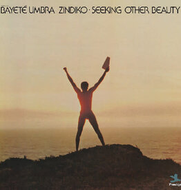Bayeté Umbra Zindiko - Seeking Other Beauty (All-Analog) (Plasma Vinyl)